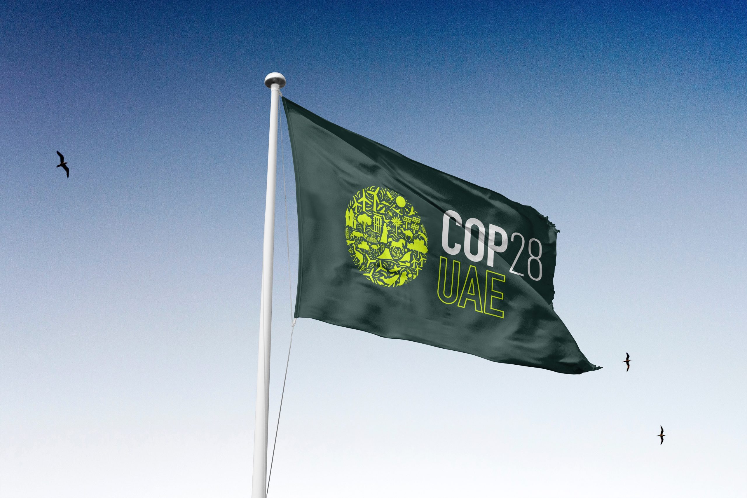 Shaping Sustainable Futures: Key Priorities at COP28 for the Built Environment